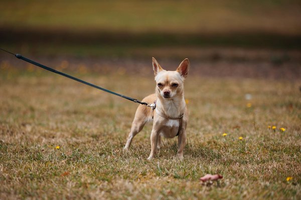 What innovations are shaping the future of UK retail in the next decade?