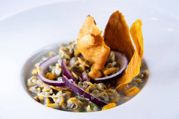 Revolutionizing Water Purification: The Impact of Nanofilters on Modern Techniques